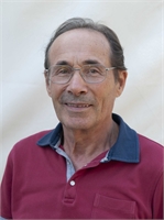 Roberto Minotto (PD) 