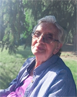 Bruna Antonello Ved. Dalle Ave (VA) 