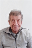 Archimede Cremascoli