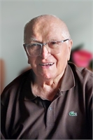 Virginio Brivio (VA) 