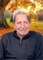 Gaetano Pignatiello (VA) 