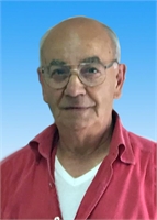 Vincenzo Orefice (NA) 