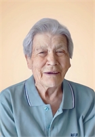 Rosa Stefanoni Ved. Camicia (VT) 