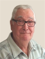 VITTORIO FORTE