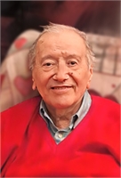 Gian Carlo Zanelli (MI) 