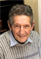 LUIGI NICOLI