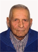 Geom. Giordano Fedozzi