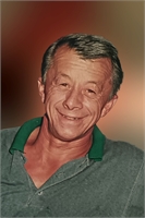 Vittorio Damioli