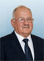 Raffaele Salvioli