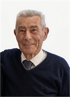 Lorenzo D