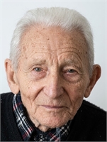 Riccardo Giovanni Tettamanti (CO) 