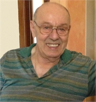 Gino Artioli