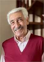 Rocco Panucci (TO) 