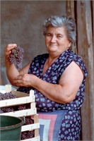 Lucia Rosa Morini Ved. Paterlini (RE) 