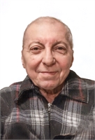 Vincenzo Bossi (MI) 