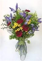 Teresa Trentarossi Ved. Alberi (LO) 