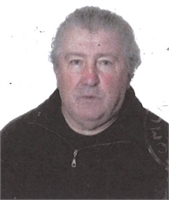 Bruno Bolfo