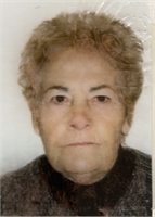 Teodolinda Arundine In Caso (PV) 