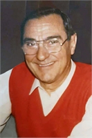 Giancarlo Saccani (MN) 