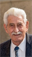 Giovanni Savino (PV) 