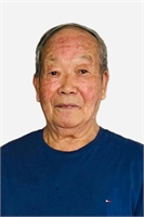 SHUANGWEN ZHU
