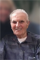 Terenzio Bollasina