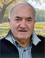 Severino De Franceschi (VA) 