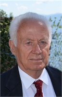 DANIELE CECCARELLI