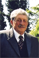 Luigi Meneghini