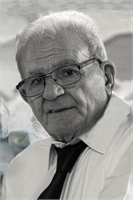 Vincenzo Fiorito (MI) 