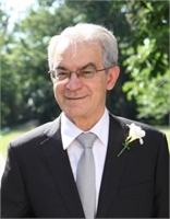 DANIELE INCERTI