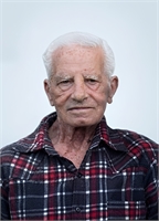 Giuseppe Fimiani (NA) 