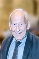 DINO NEGRI