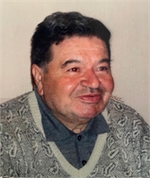 Romano Guglielmoni