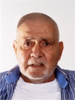 Giampiero Mario Viale (LO) 
