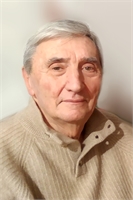 RENATO BERGAMINI