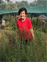 Francesca Giau Ved. Solinas (BI) 