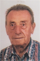 TERENZIO ANGELO BELLOLI